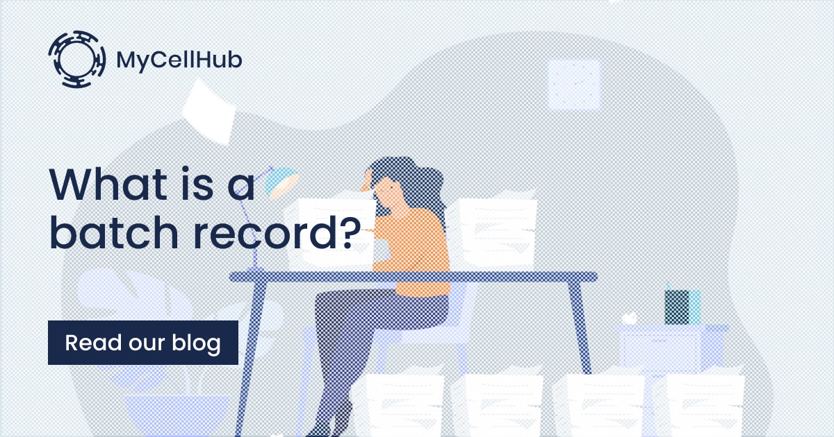 what-is-a-batch-record